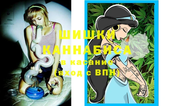 ГАЛЛЮЦИНОГЕННЫЕ ГРИБЫ Алексин