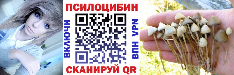 где купить наркоту  Анжеро-Судженск  Псилоцибиновые грибы Psilocybine cubensis 